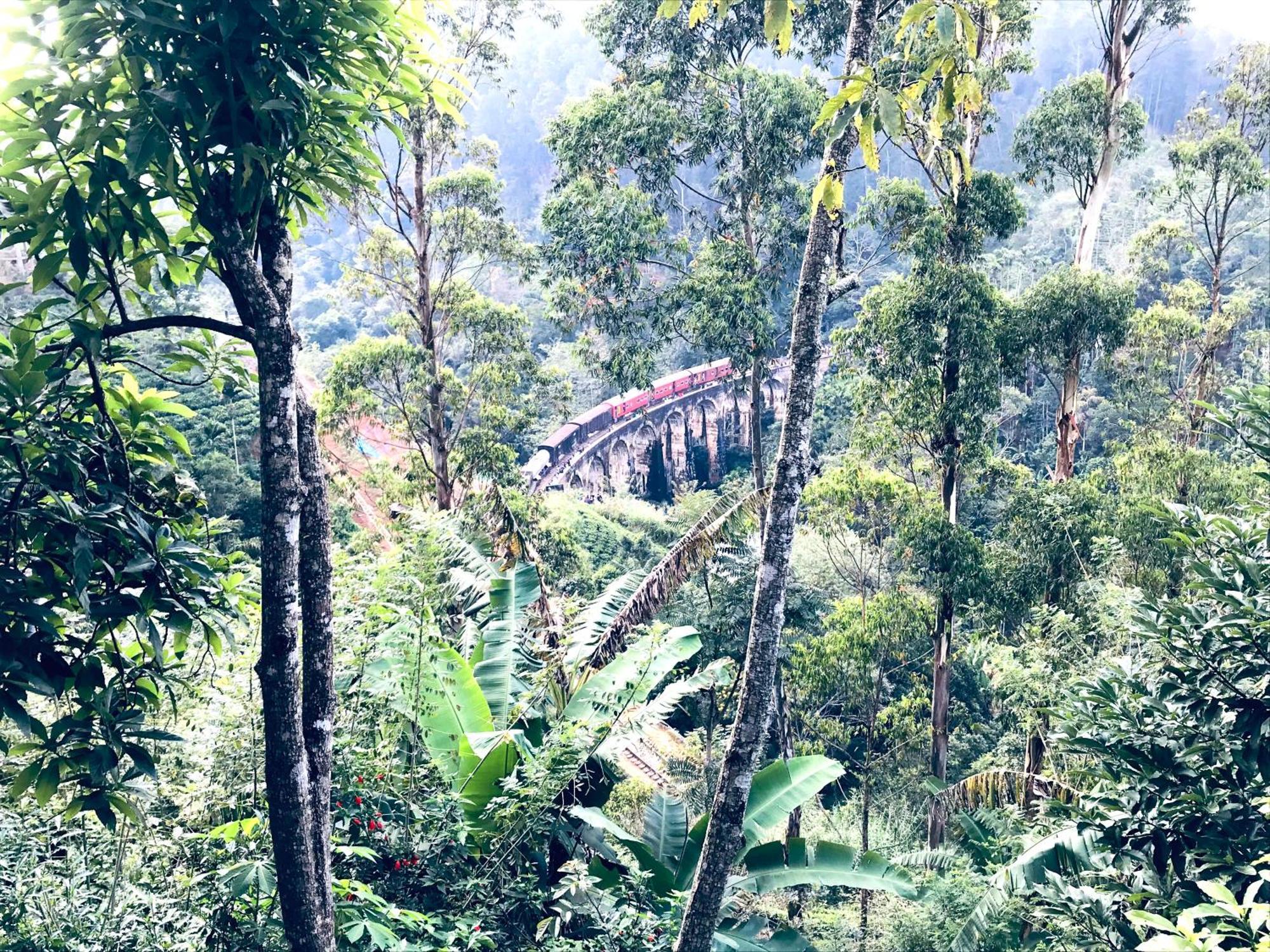 9 Arch View Rest Inn Ела Екстериор снимка